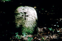 Croix Templière sur un rocher, Bar-sur-Seine